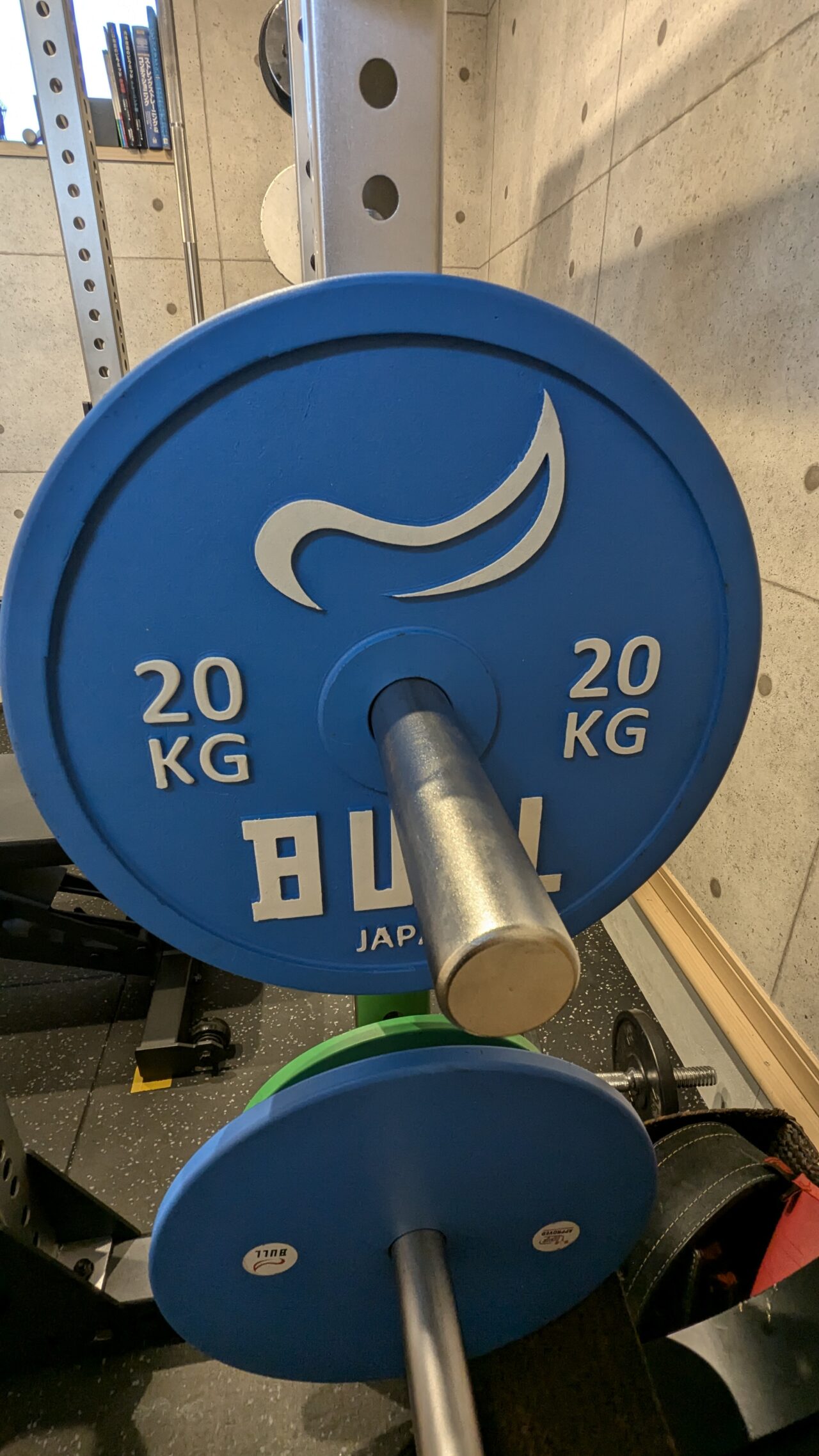 bull weight plate